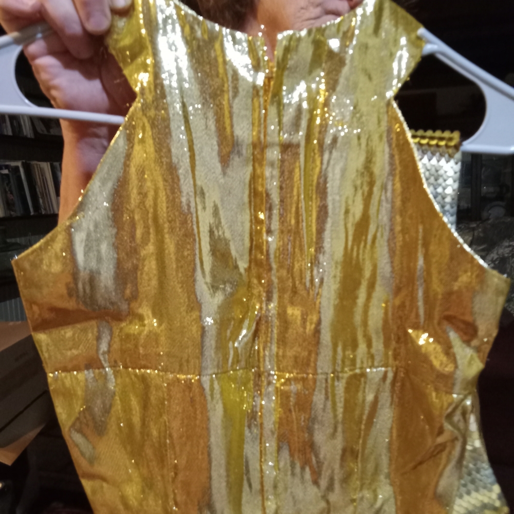 Vintage 1970's vintage. Metallic dress, scarf and belt.